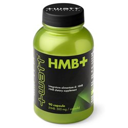 HMB+