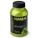 HMB+